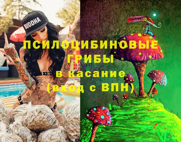 экстази Козельск