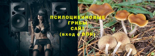 МДПВ Кодинск